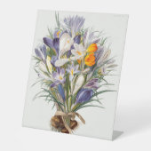 Blume Crocus Spring Botanische Blumenpracht Sockelschild (Vorderseite)