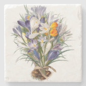 Blume Crocus Spring Botanische Blumenpracht Steinuntersetzer (Vorderseite)