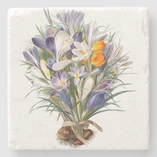 Blume Crocus Spring Botanische Blumenpracht Steinuntersetzer (Vorderseite)