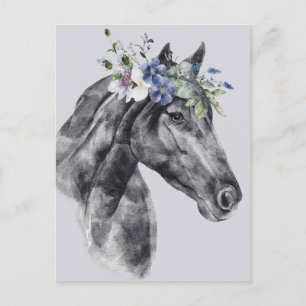 Blume Crown Black Horse Portrait Postkarte