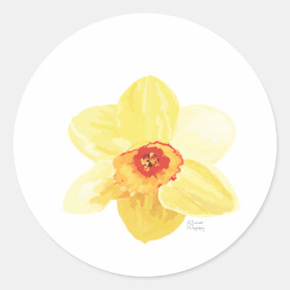 Blume Daffodil Żonkila Runder Aufkleber