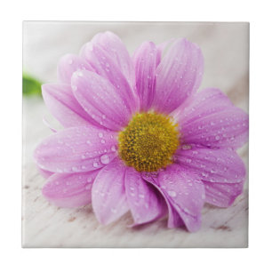 Blume Daisy Keramik-Fliesen-untersetzer Fliese