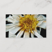 Blume - Daisy - Sonnenbettsonne Visitenkarte (Rückseite)