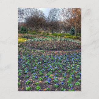 Blume Dallas Arboretum und Botanischer Garten Postkarte