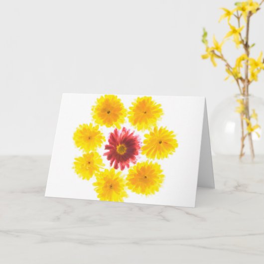 Blume Dance Chrysanthemum wird gut Karte (Gelbe Blume)