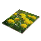 Blume Dandelion Gelb grün Fliese (Seite)