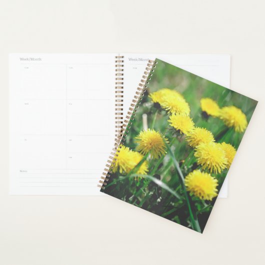 Blume Dandelion Gelb grün Planer (Anzeige)