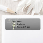 Blume - Dandelion - Gesundheit (Insitu)