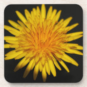 Blume Dandelion Getränkeuntersetzer (Vorderseite)