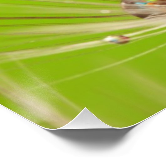 Blume Dandelion Polterabend Liebe Frieden Poster (Ecke)