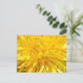 Blume Dandelion Postkarte (Stehend Vorderseite)