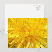 Blume Dandelion Postkarte (Vorne/Hinten)