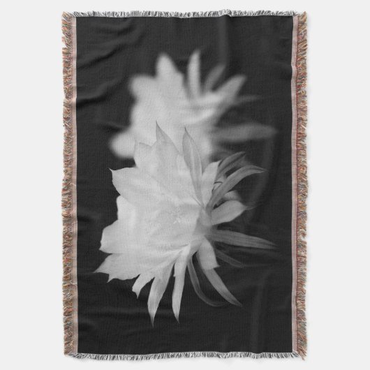 Blume Decke (Vorderseite Vertikal)