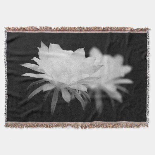 Blume Decke (Vorderseite)