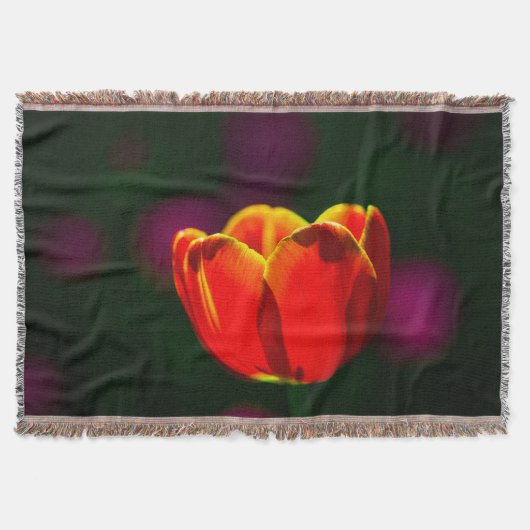 Blume Decke (Vorderseite)