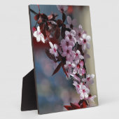 Blume dekorativer Kirschbaum Fotoplatte (Seite)