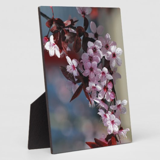 Blume dekorativer Kirschbaum Fotoplatte (Seite)