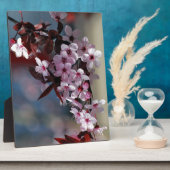 Blume dekorativer Kirschbaum Fotoplatte (Seite)