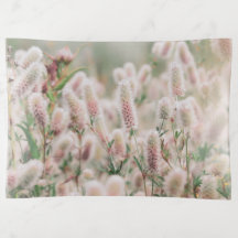 Blume
