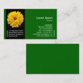 Blume der Black Side Band - Gelbe Chrysanth - Grün Visitenkarte (Vorne/Hinten)
