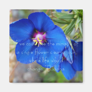 Blume der blauen Mohnblume mit dem Inspirieren des Magnet