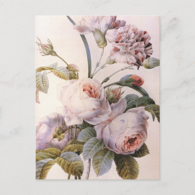 Blume der Carnation Vintag Art Rose Postkarte (Vorderseite)
