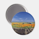 Blume der Creek Bank Magnet (Vorderseite/Rückseite)