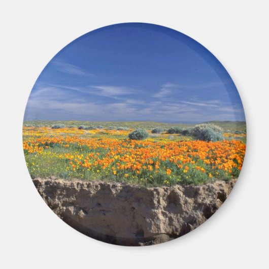 Blume der Creek Bank Magnet (Vorne)