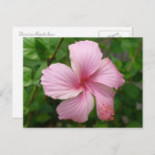 Blume der Dominikanischen Republik Postkarte (Vorne/Hinten)