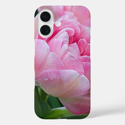 Blume der Doppeltulpen mit Taubentropfen Case-Mate iPhone Hülle (Rückseite)