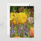 Blume der Empfindlichkeit Postkarte (Vorne/Hinten)