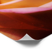 Blume der farbigen gelben Rosenknospe Poster (Ecke)