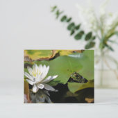 Blume der Frosch- und Wasserlilie Postkarte (Stehend Vorderseite)