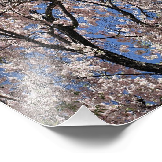 Blume der Frühlingsblüten Fotodruck (Ecke)