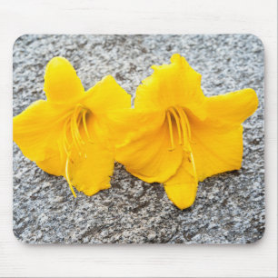 Blume der gelben Taglilie in voller Blüte Mousepad