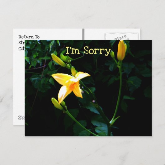 Blume der Gelblilie Postkarte (Vorne/Hinten)