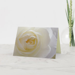 Blume der Grußkarte der weißen Blume Rose Dankeskarte