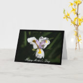 Blume der heiklen Mutter Karte (Gelbe Blume)