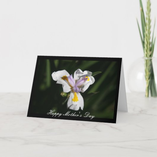 Blume der heiklen Mutter Karte (Vorderseite)