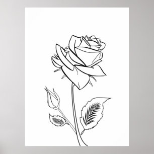 Blume der hübschen Rose Zeichne Poster