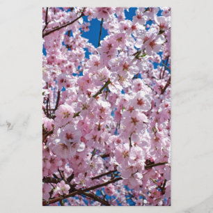 Blume der Japanischen Kirsche Briefpapier
