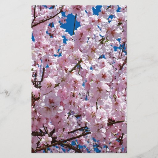 Blume der Japanischen Kirsche Briefpapier (Vorderseite)