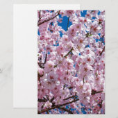 Blume der Japanischen Kirsche Briefpapier (Vorne/Hinten)