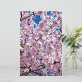 Blume der Japanischen Kirsche Briefpapier (Stehend Vorderseite)
