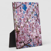 Blume der Japanischen Kirsche Fotoplatte (Seite)