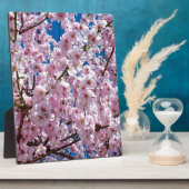 Blume der Japanischen Kirsche Fotoplatte (Seite)