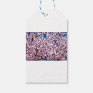 Blume der Japanischen Kirsche Geschenkanhänger