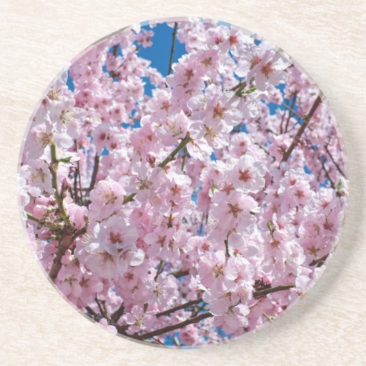 Blume der Japanischen Kirsche Getränkeuntersetzer (Vorne)