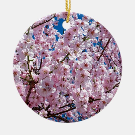 Blume der Japanischen Kirsche Keramik Ornament (Vorne)