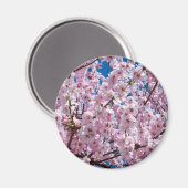 Blume der Japanischen Kirsche Magnet (Vorderseite/Rückseite)